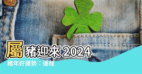 2024年豬年運程|2024屬豬幾歲、2024屬豬運勢、屬豬幸運色、財位、禁忌